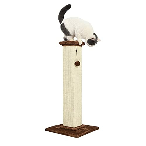 Cat on a tall scratching post with a hanging toy.