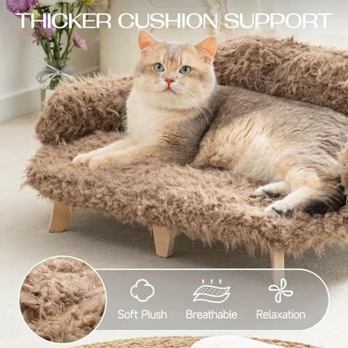 Cat sitting on a plush furry cushion with text about cushion support.