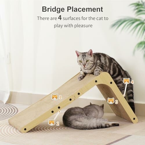 Two cats playing on a multi-surface cat bridge indoors.