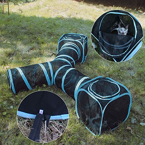 Cat inside a black and blue play tunnel on grass.