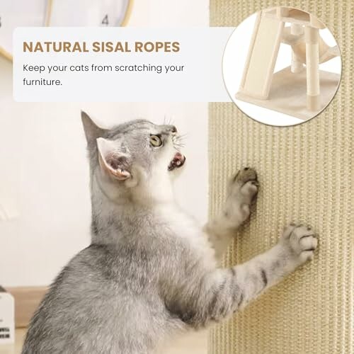 Cat scratching natural sisal rope on furniture.