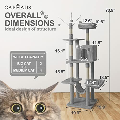 Cat tree structure with dimensions and weight capacity for cats