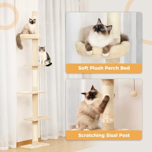 Cats on a tall cat tree with perch bed and scratching post.