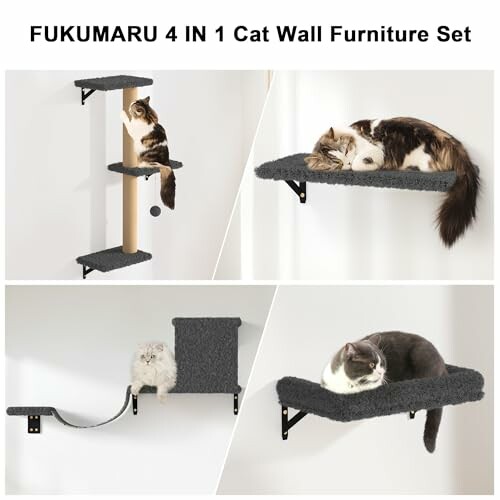 Cats resting on a wall-mounted cat furniture set with platforms and scratching post.